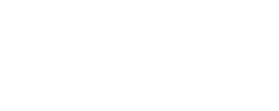 Dunlop